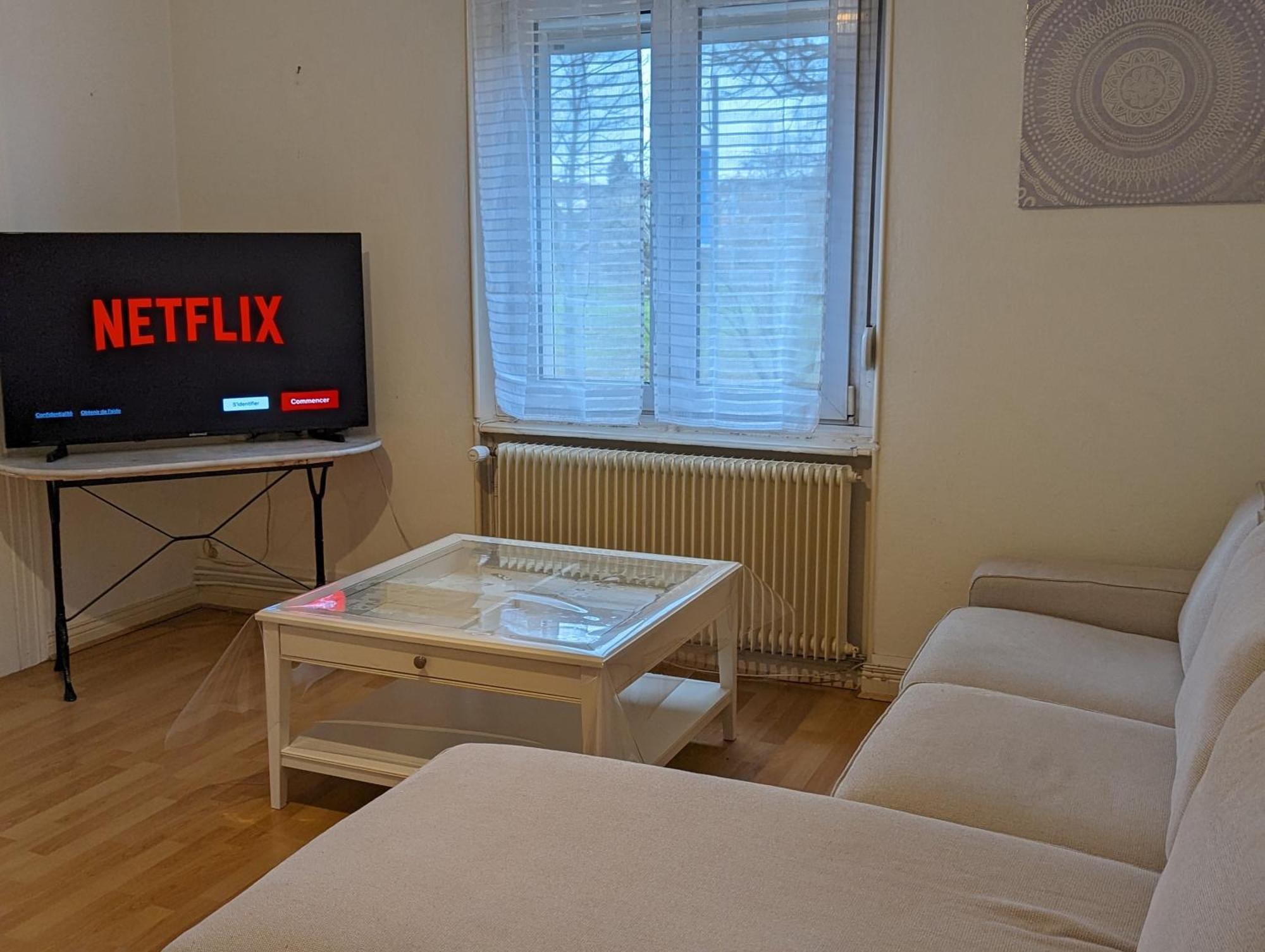 Le Balois - Appartement 2 Chambres, Salon, Cuisine Equipee, Parking Et Wifi Gratuit Mulhouse Exterior photo